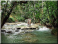 jamaika2005i18nr049.jpg
