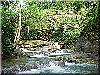 jamaika2005i19nr051.jpg
