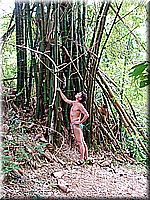 jamaika2005i21nr055.jpg