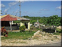 jamaika2005i26nr088.jpg
