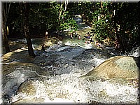 jamaika2005i31nr116.jpg