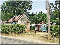 jamaika2005i41nr236.jpg