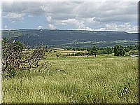 jamaika2005i46nr176.jpg