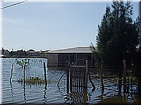 jamaika2005i48nr180.jpg