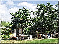jamaika2005i49nr183.jpg