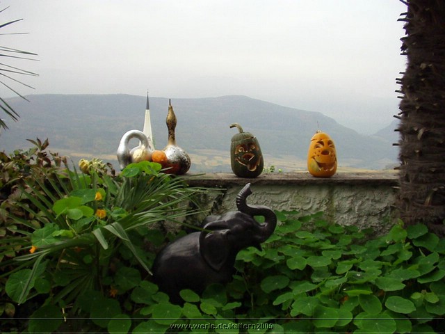 kaltern2005nr02ww02.jpg