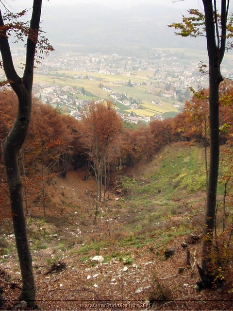 kaltern2005nr05ww06.jpg