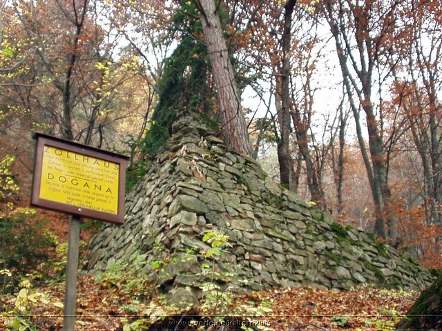 kaltern2005nr06ww07.jpg