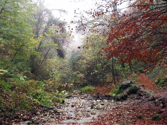 kaltern2005nr31ww27.jpg