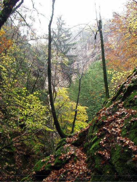 kaltern2005nr37ww37.jpg