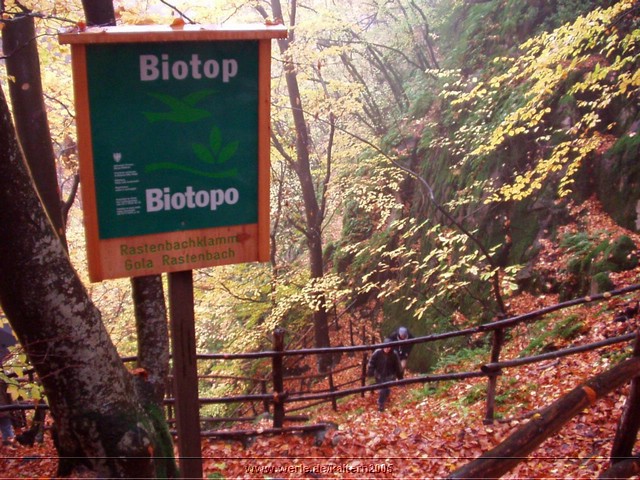 kaltern2005nr41ww51.jpg