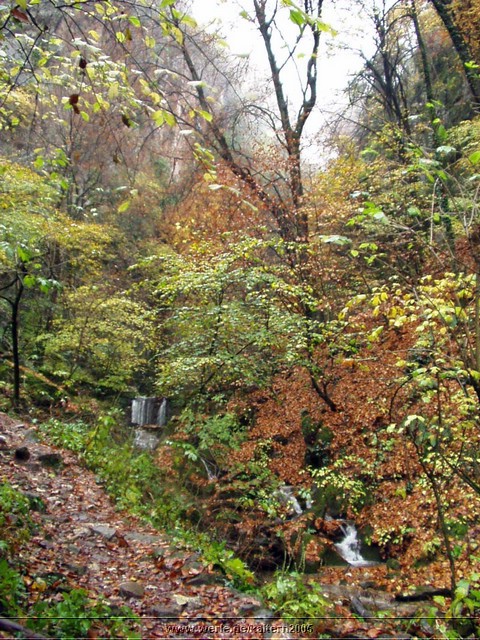 kaltern2005nr52ww62.jpg