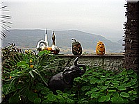 kaltern2005nr02ww02.jpg