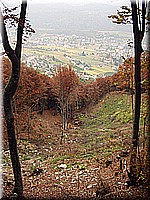 kaltern2005nr05ww06.jpg