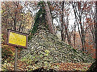 kaltern2005nr06ww07.jpg