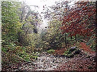kaltern2005nr31ww27.jpg