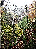 kaltern2005nr37ww37.jpg