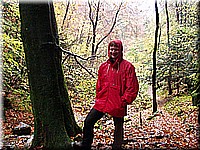 kaltern2005nr38ww42.jpg