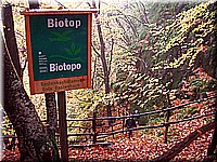 kaltern2005nr41ww51.jpg