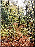 kaltern2005nr42ww52.jpg