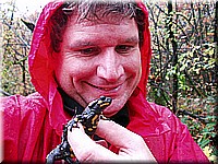 kaltern2005nr47ww55.jpg