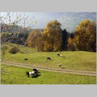 Lajen2002Nr60.jpg