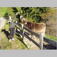 Lajen2002Nr96.jpg