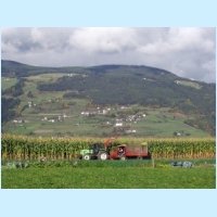 lajen2004ww15.jpg