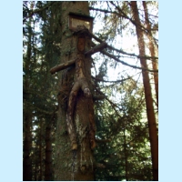 lajen2004ww34.jpg