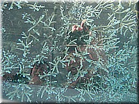 mauritius2006nr129.jpg