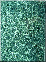 mauritius2006nr130.jpg