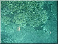 mauritius2006nr134.jpg