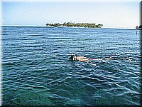 mauritius2006nr146.jpg