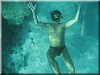 mauritius2006nr147.jpg
