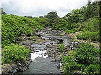 mauritius2006nr154.jpg