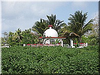 mauritius2006nr162.jpg