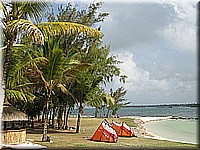 mauritius2006nr168.jpg