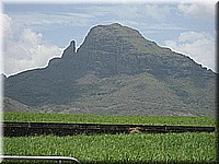 mauritius2006nr175.jpg