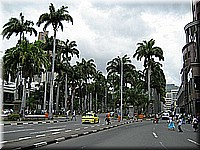 mauritius2006nr196.jpg