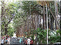 mauritius2006nr212.jpg
