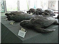 mauritius2006nr213.jpg