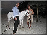 mauritius2006nr236.jpg