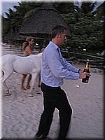 mauritius2006nr238.jpg