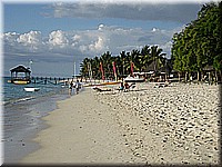 mauritius2006nr263.jpg