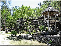 mauritius2006nr398.jpg