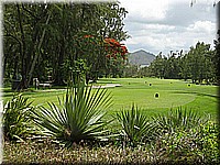 mauritius2006nr435.jpg