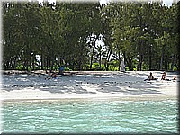 mauritius2006nr439.jpg
