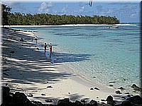 mauritius2006nr446.jpg