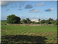 mauritius2006nr452.jpg