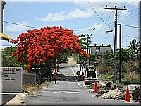 mauritius2006nr465.jpg